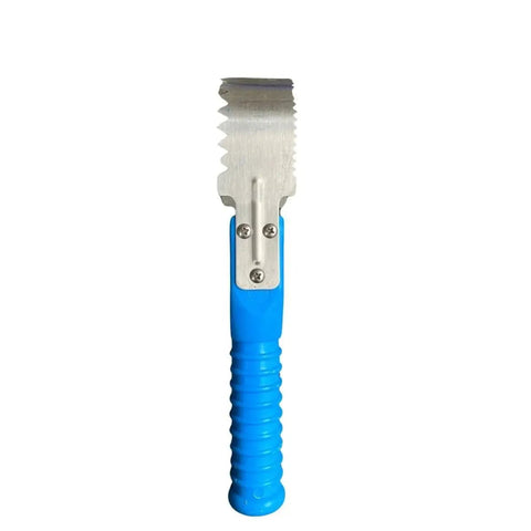 Stainless Steel Fish Seafood Scaler PVC Blue Handle AllYourBlades